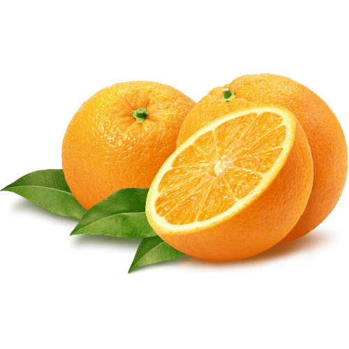 Lemon & Orange Plantation